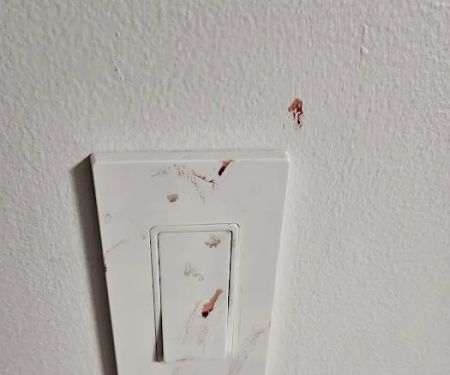 Amerestore - America's Restoration Team