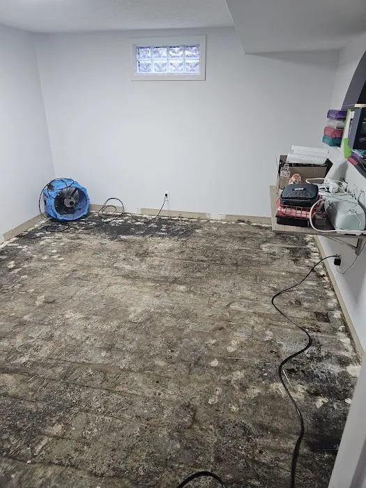 Amerestore - America's Restoration Team Picture 3