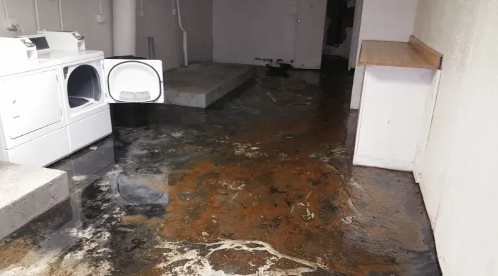 MIKESELL'S PROCARE SERVICES Picture 4