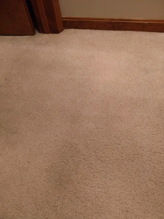 MIKESELL'S PROCARE SERVICES Picture 6