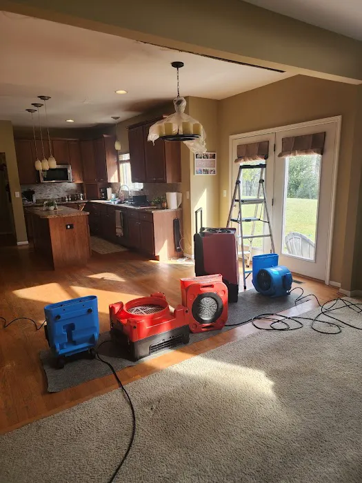 Royal Restoration Pro Picture 3