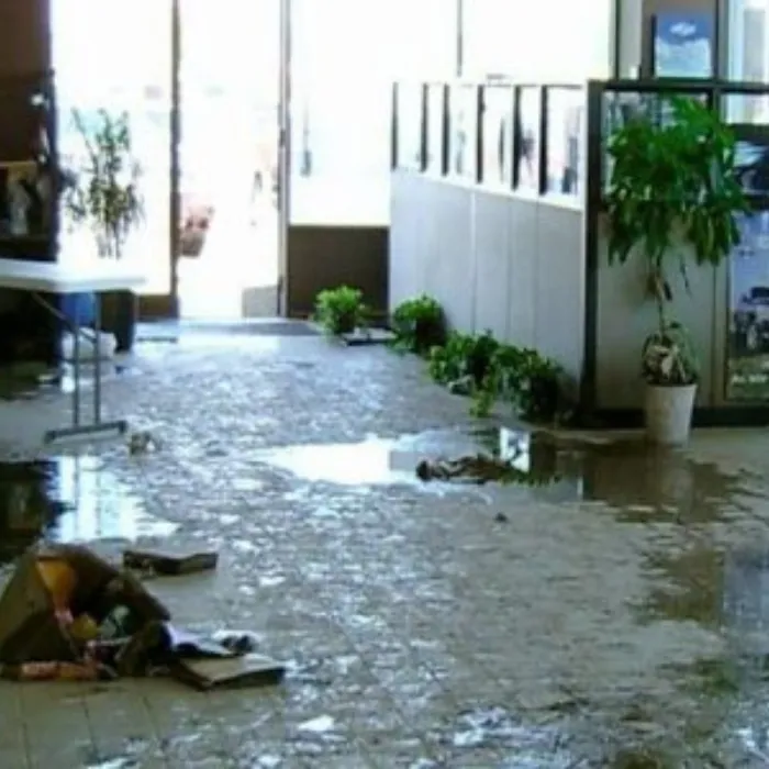 Royal Restoration Pro Picture 10