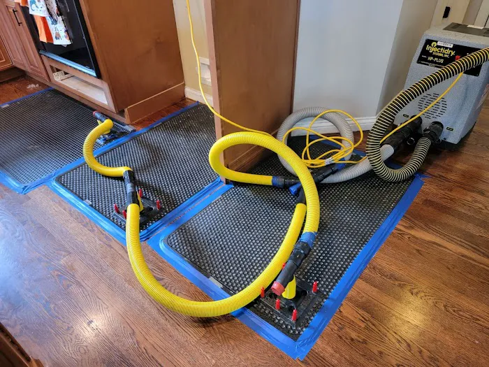 Royal Restoration Pro Picture 9