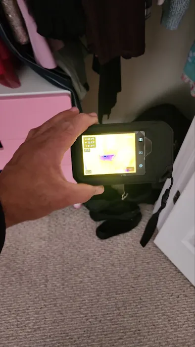 Royal Restoration Pro Picture 2