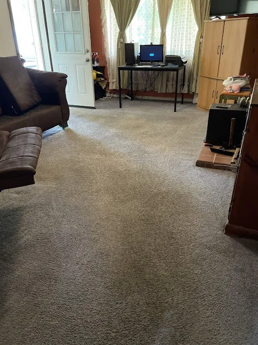Extra Effort Carpet & Upholstery Cleaning Picture 4