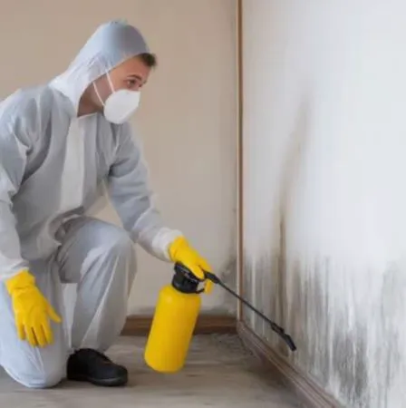 Experts Of Queen City Picture 3