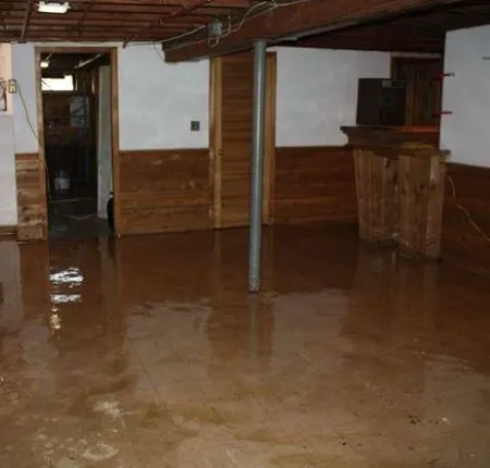 Experts Of Queen City Picture 1