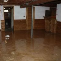 Experts Of Queen City ico