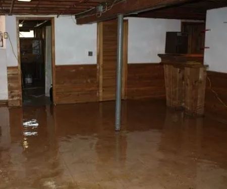 Experts Of Queen City