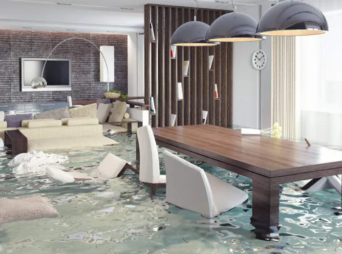 Experts Of Queen City Picture 10