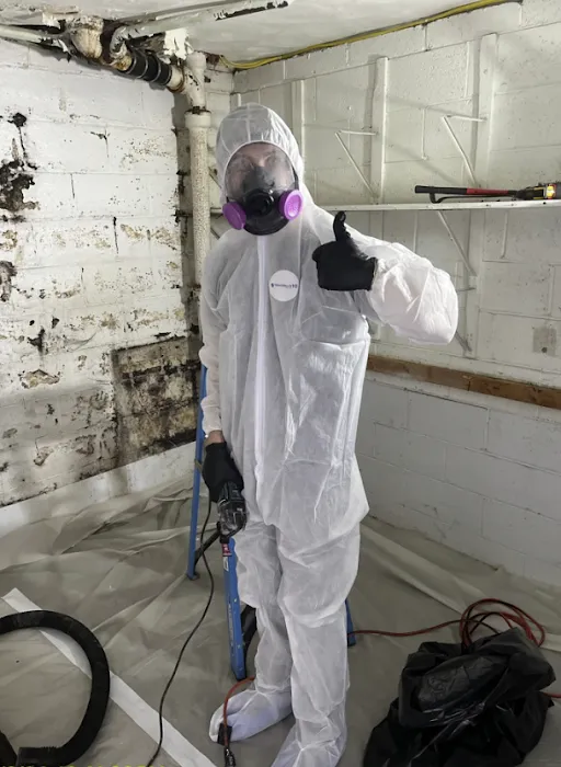 Cleanup Services Picture 9