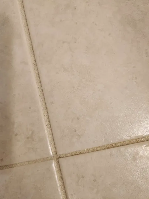 Stanley Steemer Picture 1