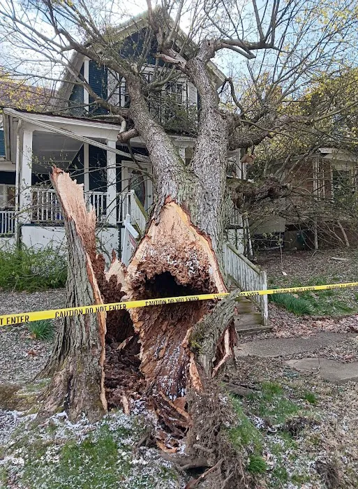 Paul Davis of Eastern Ohio Picture 9