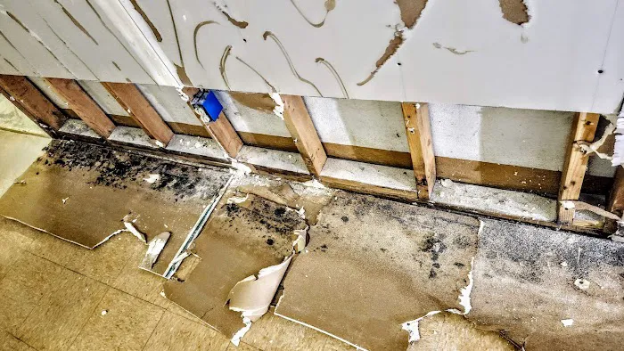 Mold Testers, LLC Picture 6