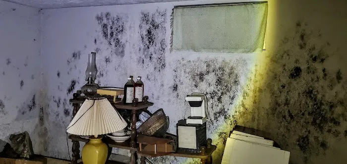 Mold Testers, LLC Picture 10