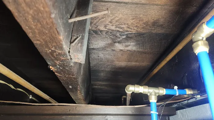 Mold Testers, LLC Picture 5