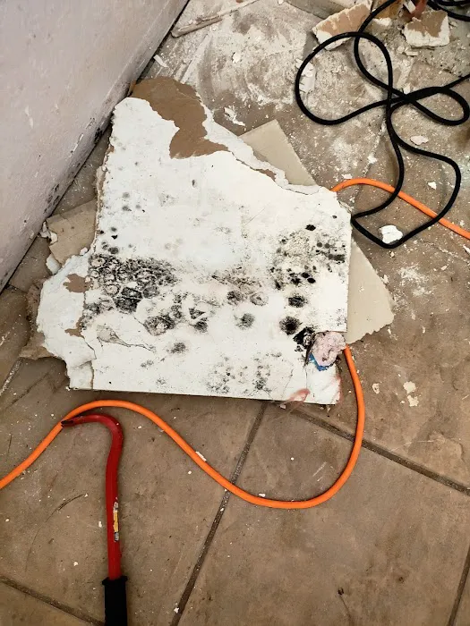 Mold Testers, LLC Picture 7