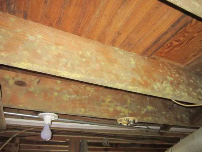 Monarch Group LLC Picture 2