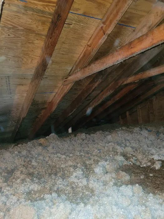 Molo industries Picture 3