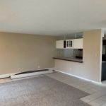 Mentor Painter And Handyman