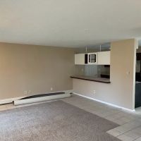 Mentor Painter And Handyman ico