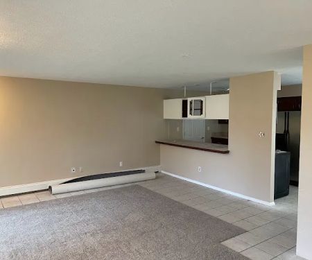 Mentor Painter And Handyman