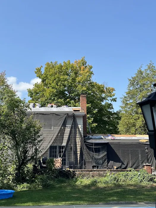 Elevate Restoration LLC Picture 6