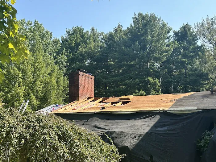 Elevate Restoration LLC Picture 5