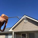 Hydros Power Washing