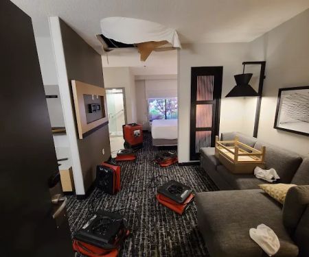 Emergency 1st Response Restoration