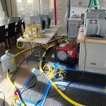 Thompson Restoration