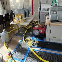 Thompson Restoration ico