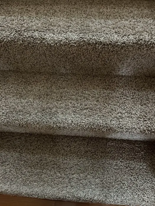 Stanley Steemer Picture 9