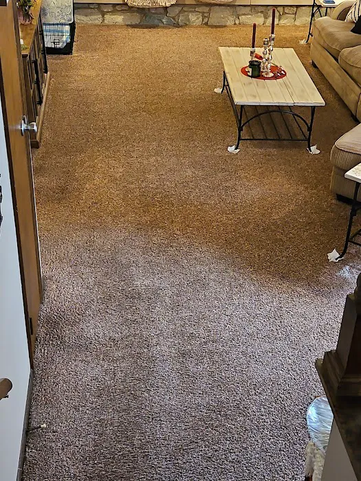 Stanley Steemer Picture 8