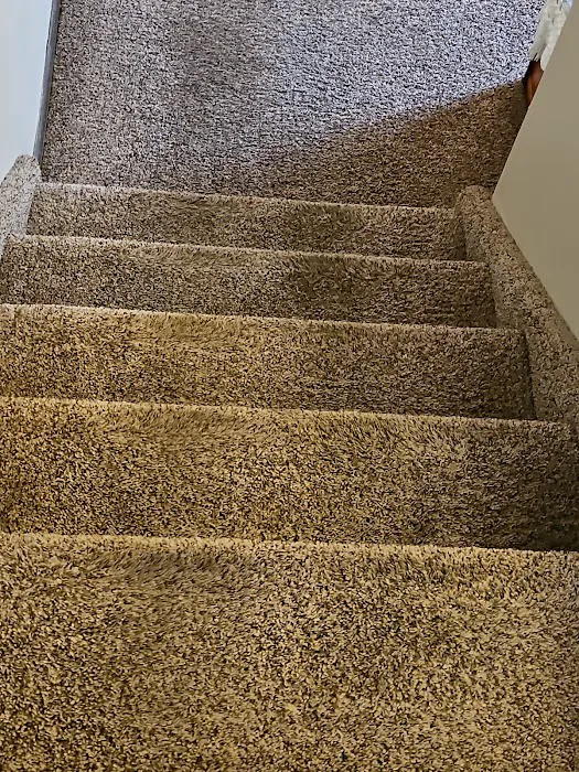 Stanley Steemer Picture 10