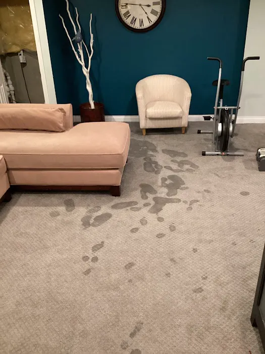 All Dry Indy Picture 10