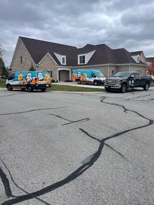 All Dry Indy Picture 7