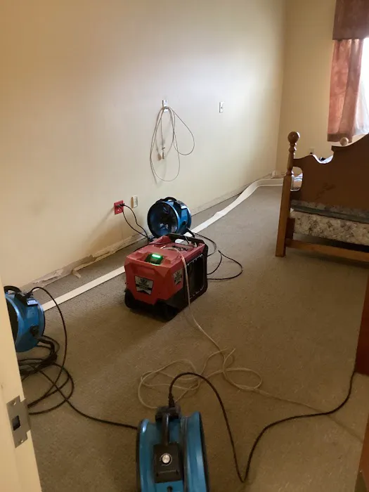 All Dry Indy Picture 6