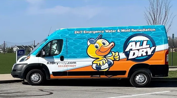 All Dry Indy Picture 8