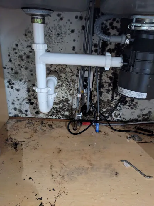 All Dry Indy Picture 9