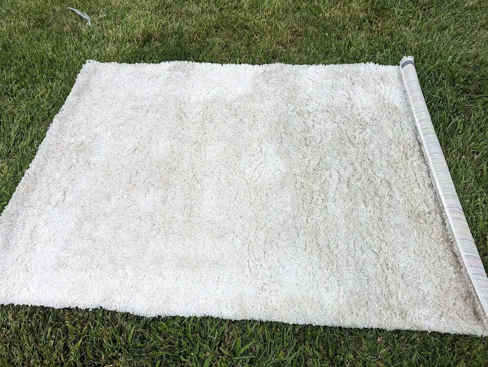 Carriage Cleaners Picture 3