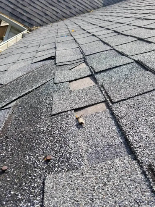 Genesis Restoration LLC Picture 4