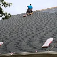 Rees Restoration ico