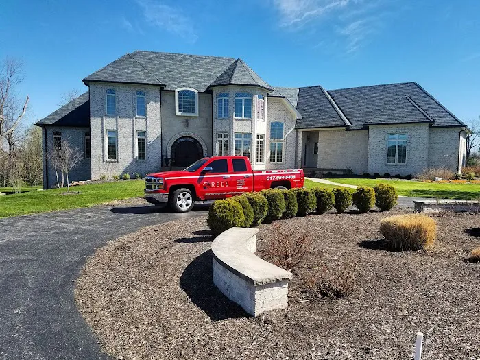 Rees Restoration Picture 6