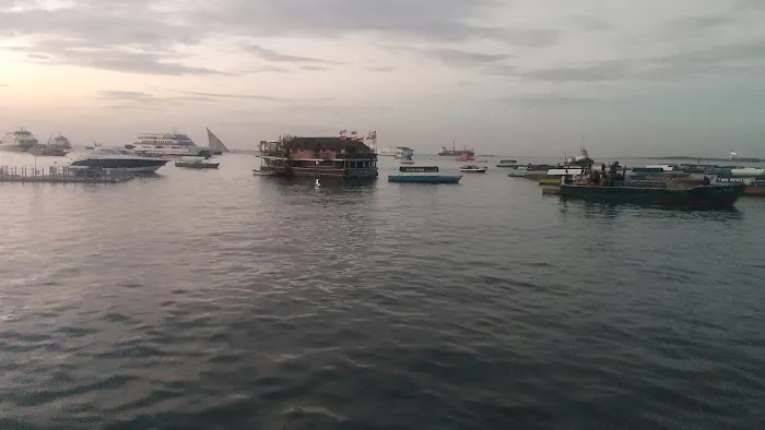 Mager Enterprises LLC Picture 2