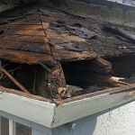 TRI-WEH Fire, Water Mold