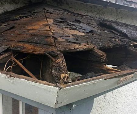 TRI-WEH Fire, Water Mold