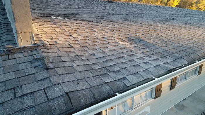 TRI-WEH Fire, Water Mold Picture 3