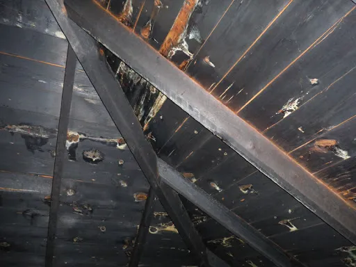 TRI-WEH Fire, Water Mold Picture 5