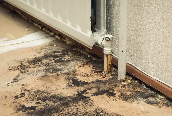 Synergy Claims USA Picture 4